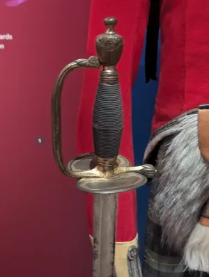 The crossbar of a sabre.